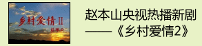 《乡村爱情2》评论